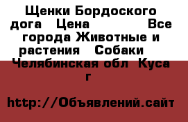 Щенки Бордоского дога › Цена ­ 60 000 - Все города Животные и растения » Собаки   . Челябинская обл.,Куса г.